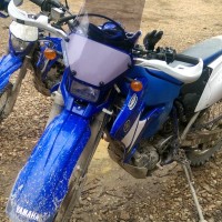 WR250F 02-06